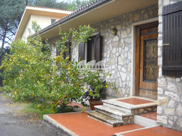 T1010 – TENUTA CON LAGO - Palombara Sabina - immagine 5