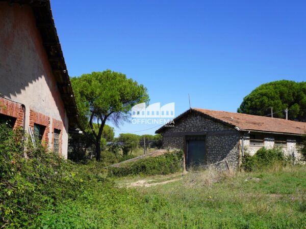 T1010 – TENUTA CON LAGO - Palombara Sabina - immagine 18
