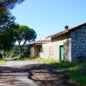 T1010 – TENUTA CON LAGO - Palombara Sabina