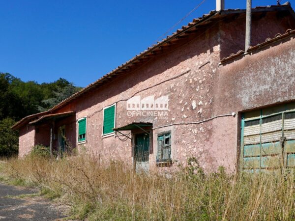T1010 – TENUTA CON LAGO - Palombara Sabina - immagine 20