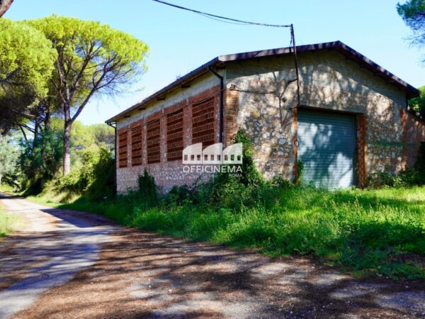 T1010 – TENUTA CON LAGO - Palombara Sabina - immagine 19