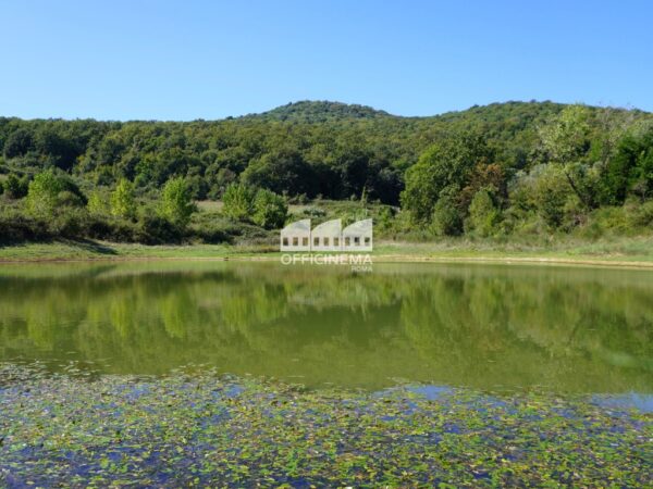 T1010 – TENUTA CON LAGO - Palombara Sabina - immagine 16