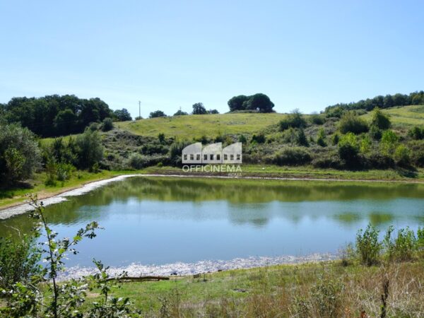 T1010 – TENUTA CON LAGO - Palombara Sabina - immagine 17