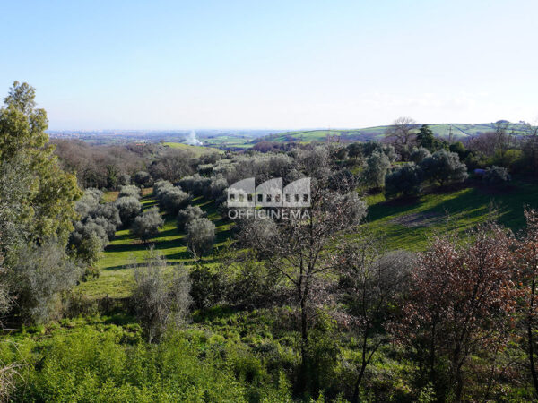 V1010 – VILLA MODERNA - Formello - immagine 5