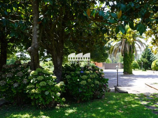 V2010 – VILLA IN CAMPAGNA - Cassia - immagine 5
