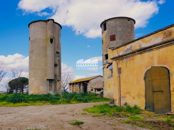 T2010 – TENUTA/AZIENDA AGRICOLA - Casilina - immagine 8