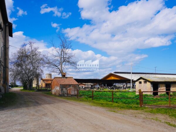 T2010 – TENUTA/AZIENDA AGRICOLA - Casilina - immagine 7