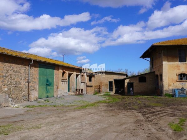 T2010 – TENUTA/AZIENDA AGRICOLA - Casilina - immagine 6