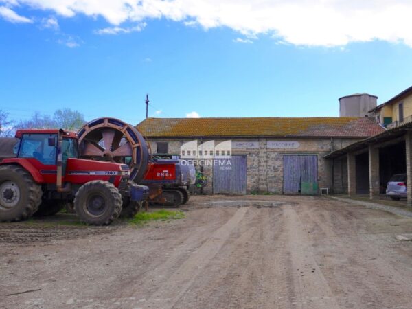 T2010 – TENUTA/AZIENDA AGRICOLA - Casilina - immagine 5
