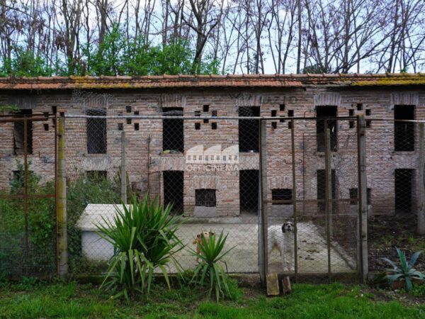 T2010 – TENUTA/AZIENDA AGRICOLA - Casilina - immagine 3
