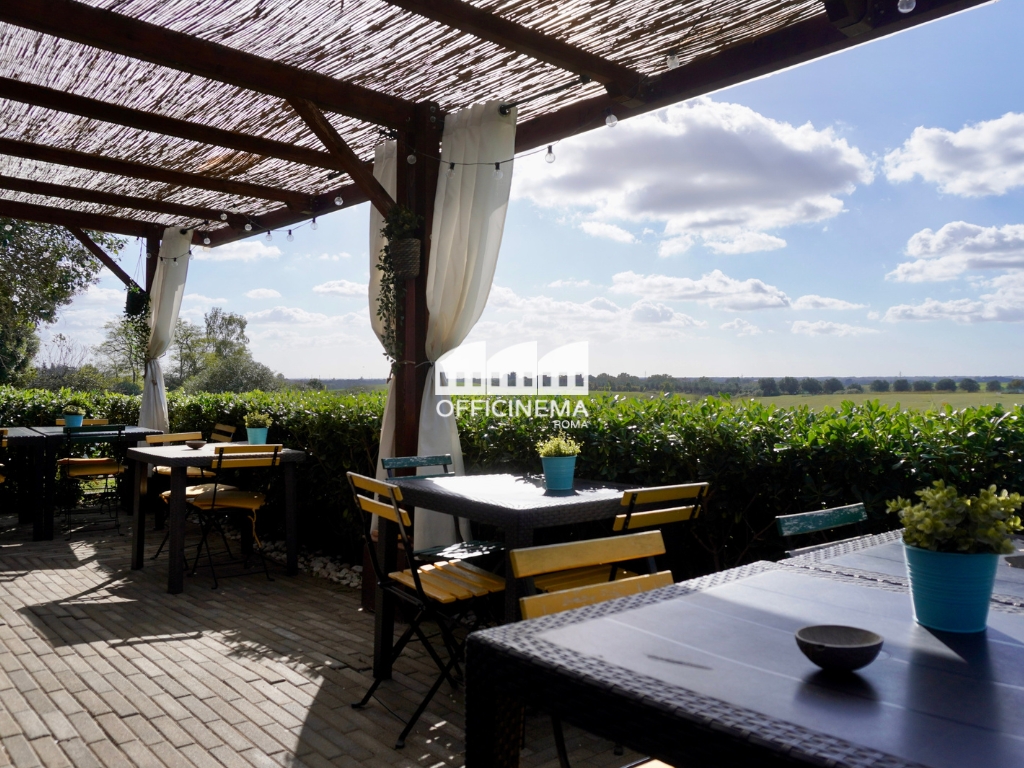 R5010 - RISTORANTE NEL VERDE - GIUSTINIANA - immagine 6