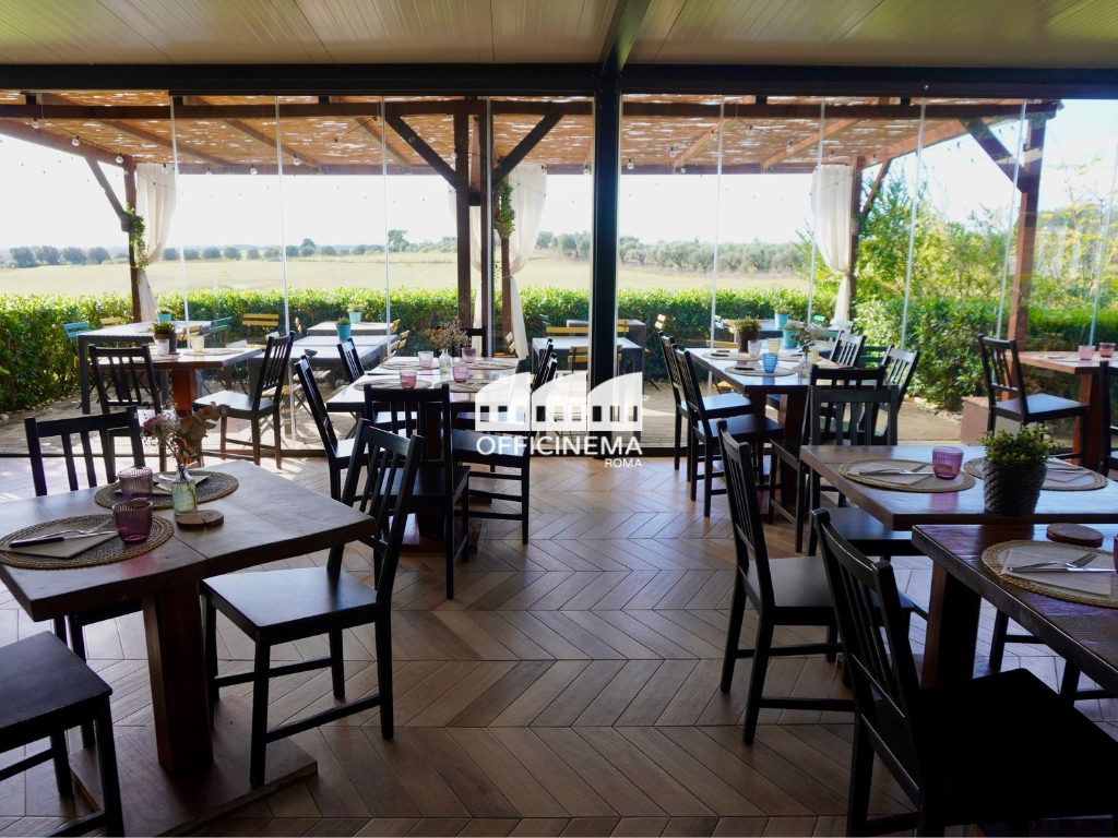 R5010 - RISTORANTE NEL VERDE - GIUSTINIANA - immagine 5