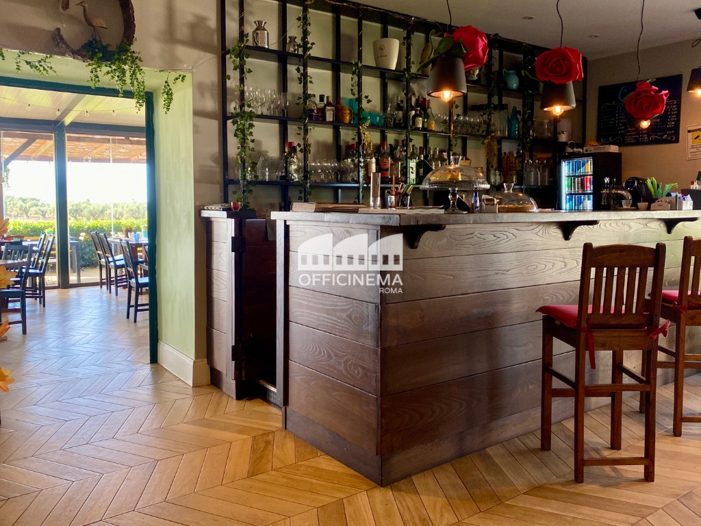 R5010 - RISTORANTE NEL VERDE - GIUSTINIANA - immagine 3