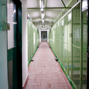 SP7010 - LA CASA DEGLIA ANIMALI - PORTUENSE