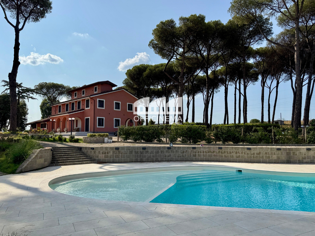 TC7010 - TENUTA CON CASALI E AZIENDA AGRICOLA - BUFALOTTA - immagine 13