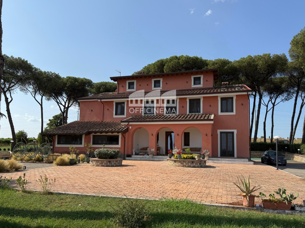 TC7010 - TENUTA CON CASALI E AZIENDA AGRICOLA - BUFALOTTA - immagine 14