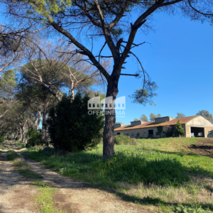 TC7010 - TENUTA CON CASALI E AZIENDA AGRICOLA  - BUFALOTTA